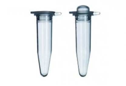 Slika za LLG-PCR tubes with attached lids, PP
