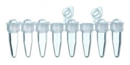 Slika za LLG-PCR-Tubes, 8 Strips with attached individual caps, PP
