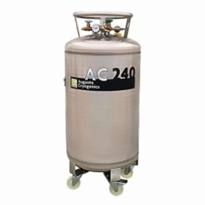 Slika za Liquid nitrogen pressure vessels AC, with auto pressure building