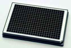 Slika za MICROPLATE 384/F-PP, BLACK WELLS, BORDER