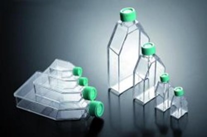 Slika za Cell culture flasks, treated, PS, sterile